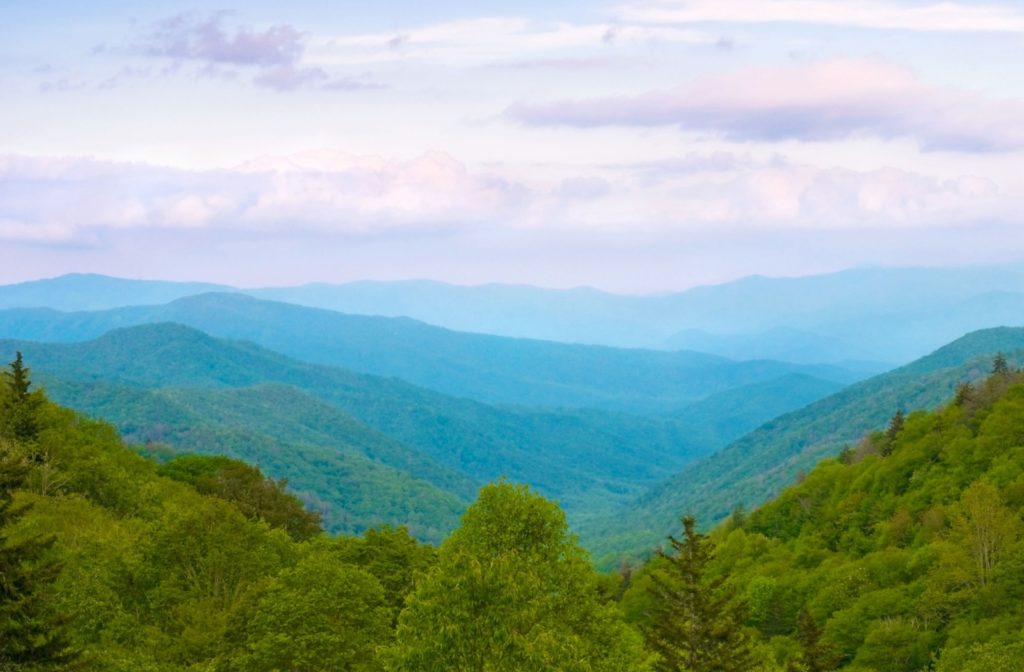 A faraway view from the top of a mountain showing a forest disappearing into the horizon.