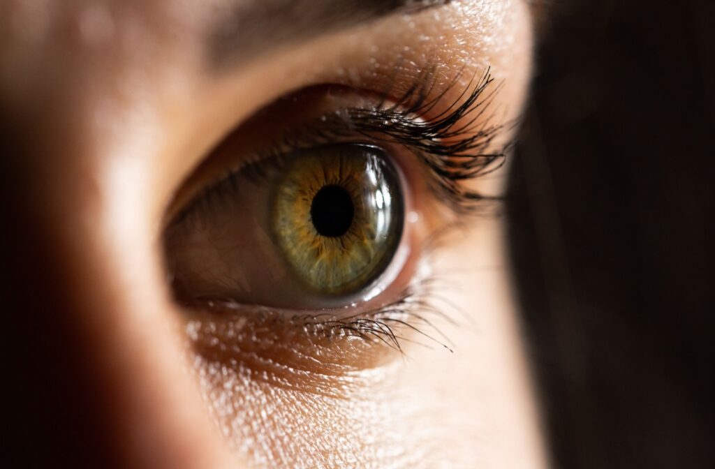 A close up of a dilated pupil