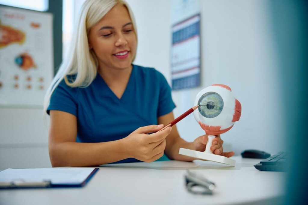 An optometrist pointing to a diagram of an eyeball.